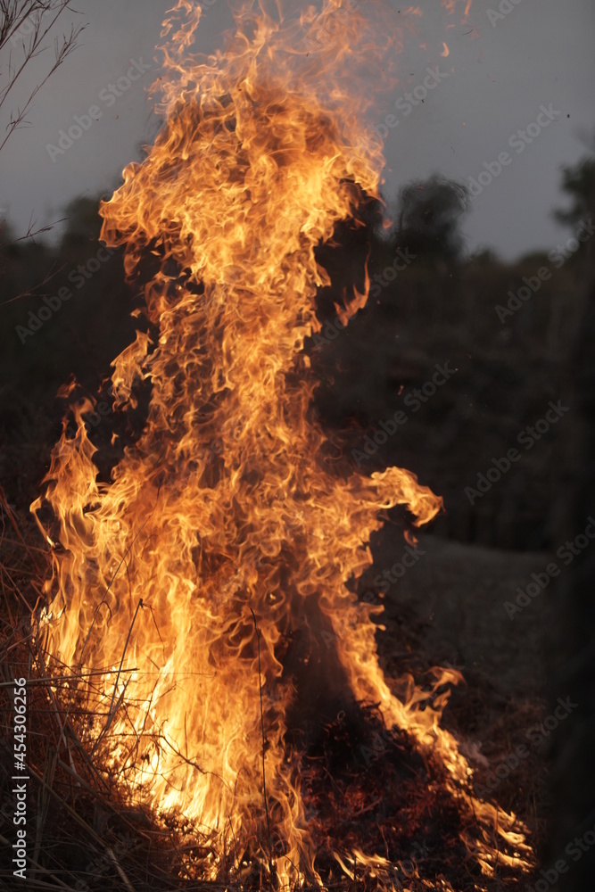 wide angle photography of a bush fire, with big red, yellow and orange flames, and burning dry grasses, in the Gambia, Africa, on the evening