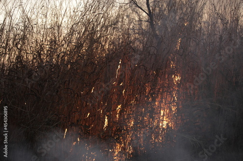 Obraz na płótnie wide angle photography of a bush fire, with big red, yellow and orange flames, and burning dry grasses, in the Gambia, Africa, on the evening w salonie