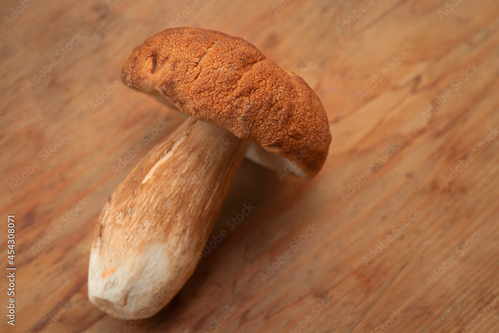 A closeup shot of one mushroom against a wooden background by summer day A closeup shot of one mushroom against a wooden background by summer day