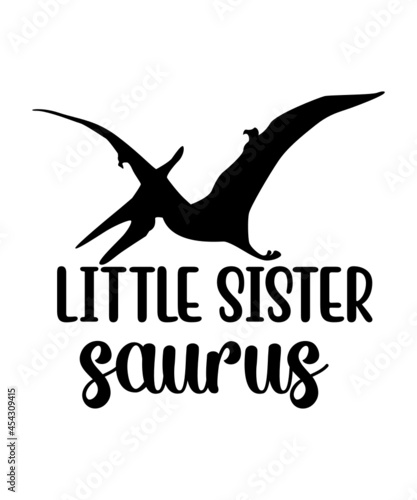 Dinosaur SVG Bundle, Dinosaur Signs Svg, Cut Files, DINOSOUR SVG BUNDLE, DINOSAUR, All SKUs , All SKUs EXCEPT Gift Cards , All SVG Collection , Animals & Pets SVG Designs , Mini SVG Bundle , New Relea