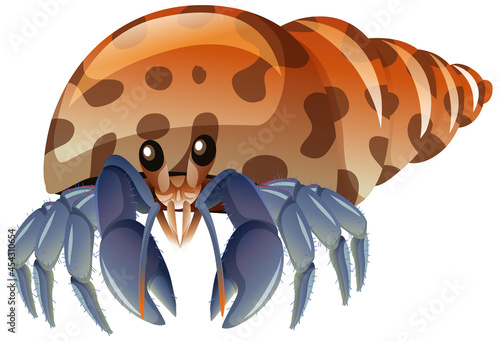 Hermit Crab in cartoon style on white background