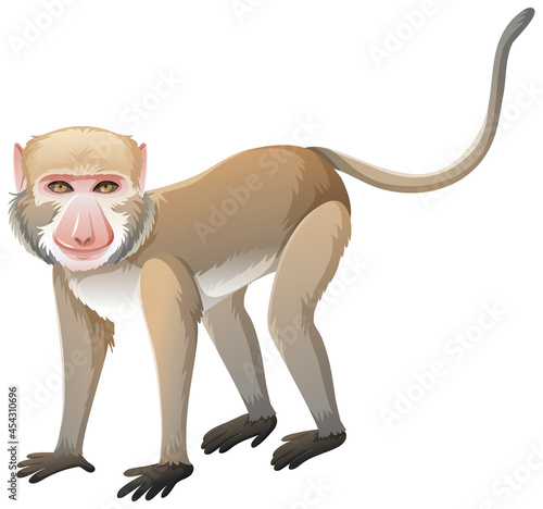 Crab-eating macaque in cartoon style on white background