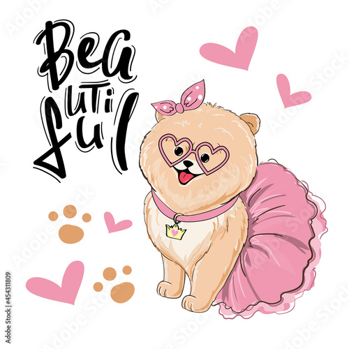 Beautiful little spitz dog girl and the inscription beautiful. Vector cartoon illustration for kids t-shirt design. Birthday card