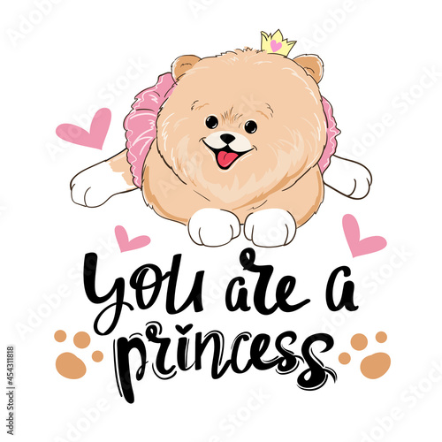 Beautiful little spitz dog girl and the inscription you are a princess. Vector cartoon illustration for kids t-shirt design