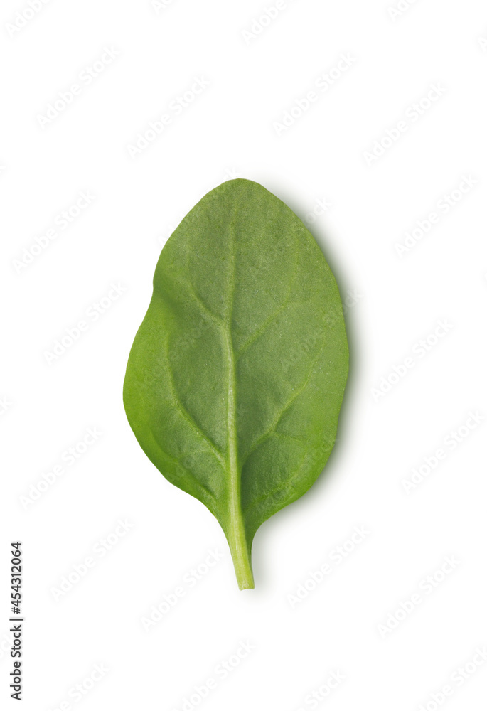 Obraz premium Green spinach leaf on white background, top view