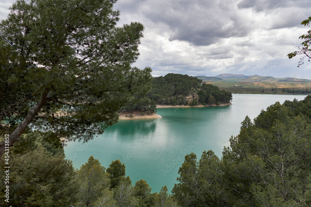water reserves in the Guadalteba reservoir surrounded by pine trees in Malaga. Spain