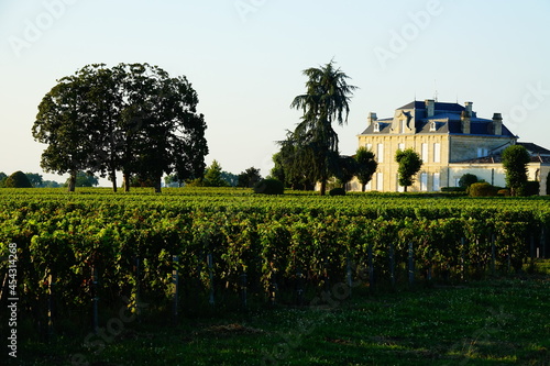 Vignobles et châteaux à Pomerol, Nouvelle Aquitaine, France