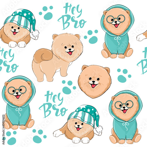 Cute summer spitz and the inscription hey bro seamless pattern. Vector cartoon illustration design for t-shirts isolated. Birthday card