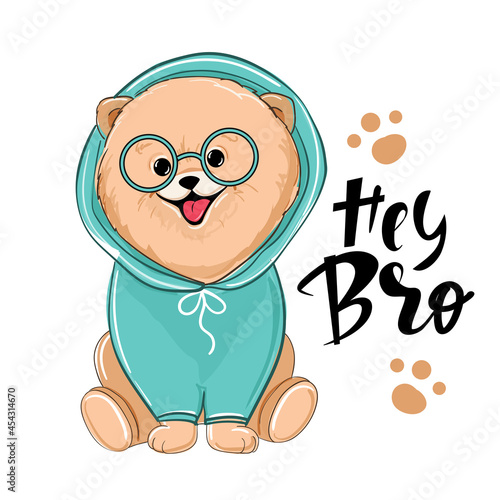 Cute summer spitz and the inscription hey bro. Vector cartoon illustration design for t-shirts. Birthday card