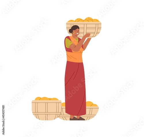 Happy Indian woman holding basket full of mango fruits. Female farmer in traditional clothes with collected harvest. Farm worker, picker in India. Flat vector illustration isolated on white background