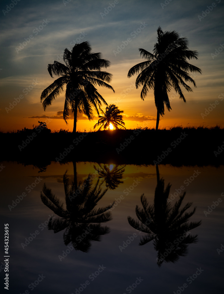 Silhouette of a group of palm trees during sunset. Reflection of silhouettes.