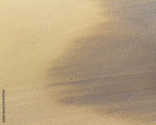 Obraz na płótnie footprints on the sand w salonie