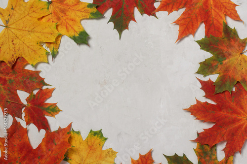 border frame of colorful autumn leaves on gray