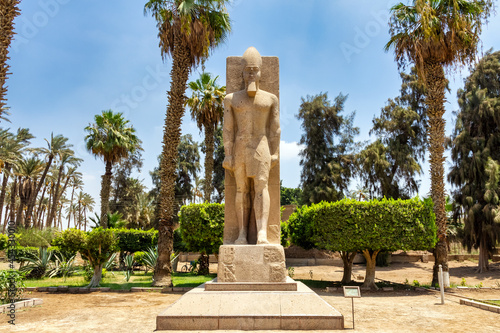 Statue of Rameses II ( Memphis - Egypt )