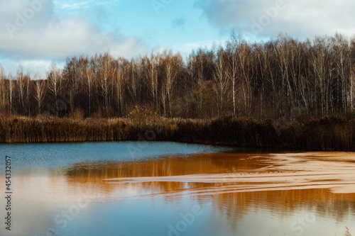 oil spill on the water. an environmental disaster due to the wreck of a tanker. leakage of toxic substances into the water. pollution by water body emissions