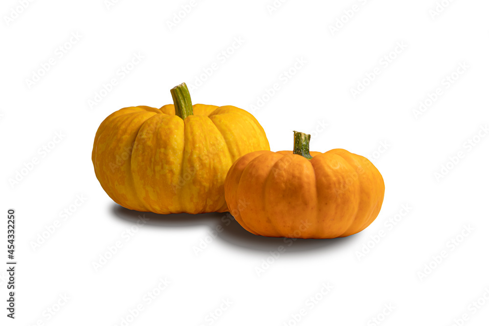 Obraz premium Small pumpkins isolated on white background