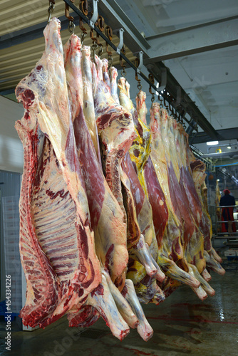 Obraz na plátne At the slaughterhouse