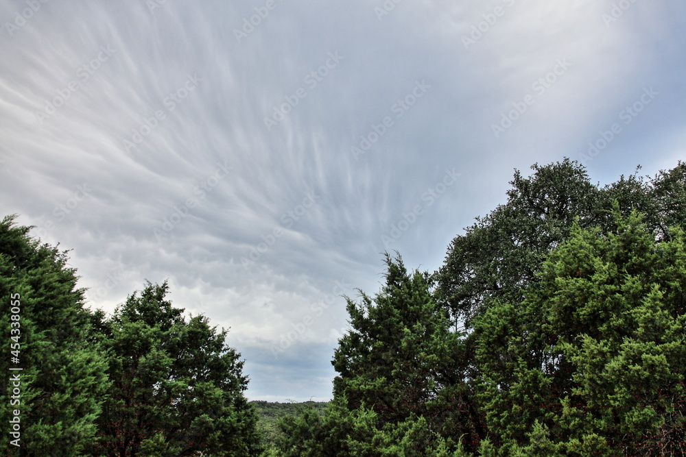 Fototapeta premium Spicewood Clouds