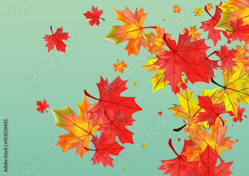 Brown Plant Background Green Vector. Floral Abstract Frame. Yellow Pattern Leaves. Isolated Leaf Illustration.
