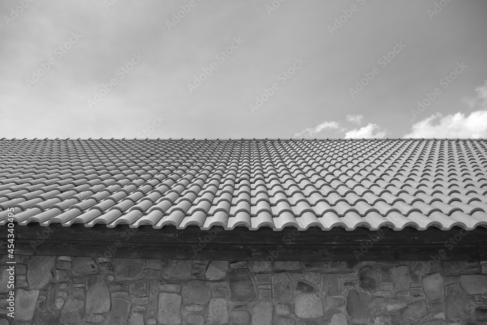 tiles on the roof, the lines of which go to the sky and the distance