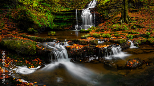 beautiful photograph of a forest with a beautiful waterfall photo
