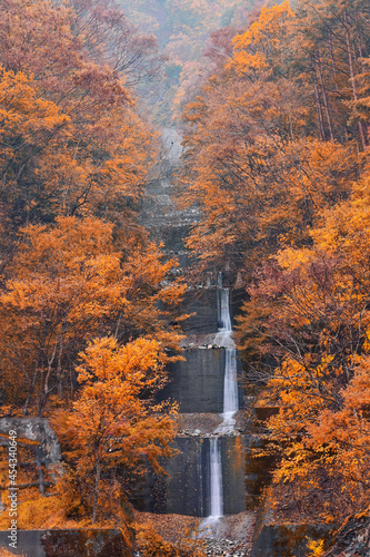 Beautiful valley mountain hill with seasonal colorful trees photo