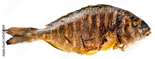 Photography dorada grilled fish isolated on a white background