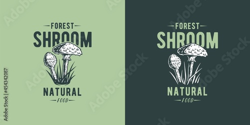 Mushroom parasol for organic, natural vegetarian food. Autumn forest fungi, shroom mushroom picking for t-shirt print