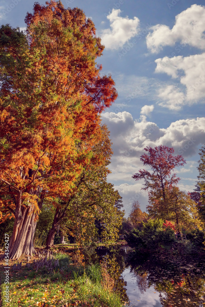 Naklejka premium Fall foliage in France. Autumnal colors landscape, reflections in a pond
