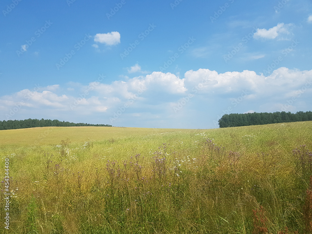 Fototapeta premium Beautiful Nature summer panoramic landscape.