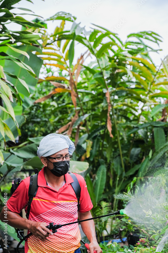 Workers spraying pesticide onto flower tree in garden, closeup. Pest control Workers spraying pesticide onto flower tree in garden, closeup. Pest control