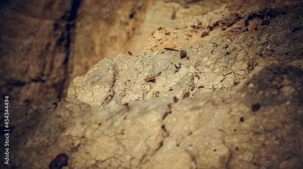 Fragments of an abandoned sand quarry. Soft focus Fragments of an abandoned sand quarry. Soft focus
