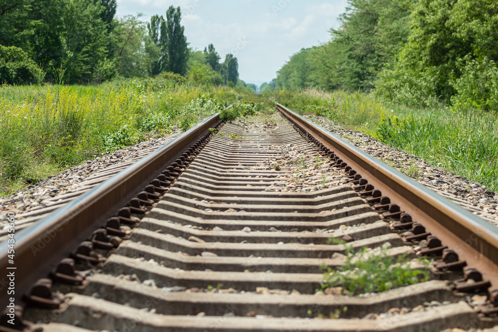 A branch of the railroad goes far into the green grass. The track runs between the trees. The concept of railroading.