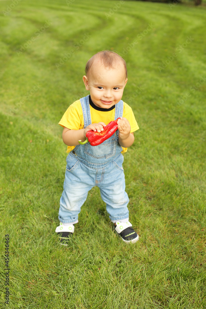 a little boy in a yellow T-shirt is standing on the lawn in the park holding a red bell pepper a little boy in a yellow T-shirt is standing on the lawn in the park holding a red bell pepper
