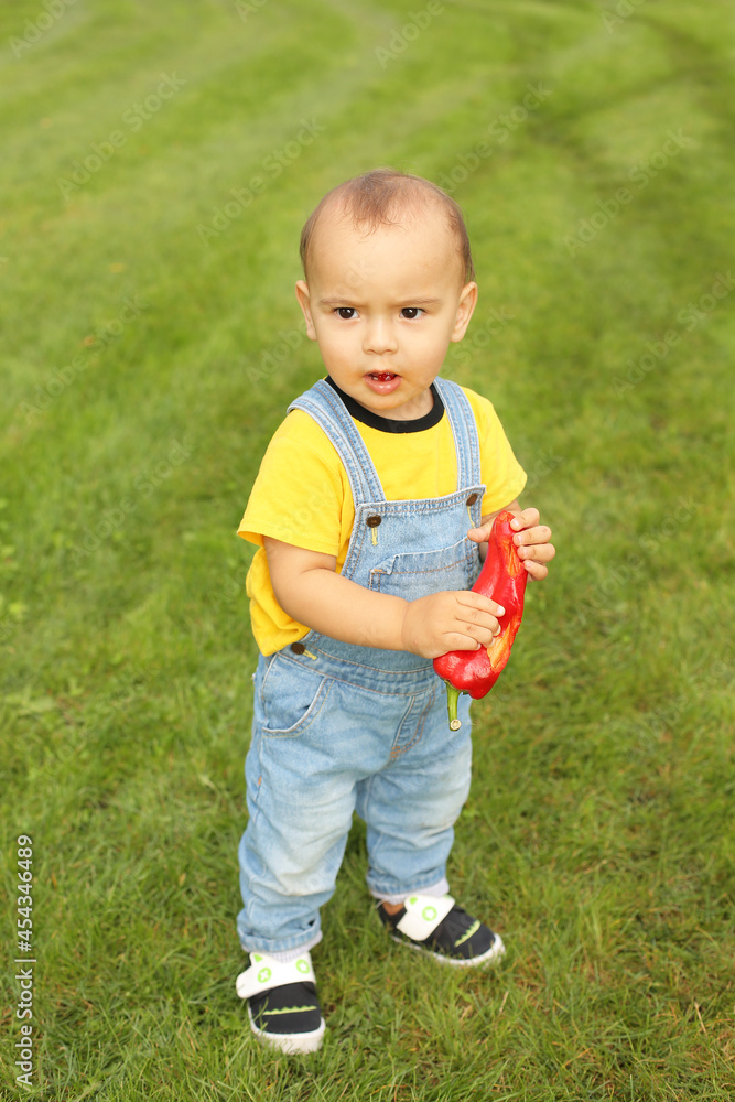 a little boy in a yellow T-shirt is standing on the lawn in the park holding a red bell pepper a little boy in a yellow T-shirt is standing on the lawn in the park holding a red bell pepper