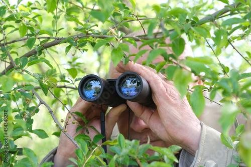 Obraz na plátně adult man holding black field binoculars with zoom, hiding in greenery, peeping