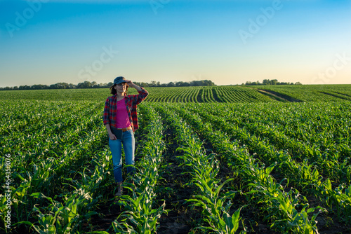 Wallpaper Mural Female caucasian maize farmer with tablet computer inspecting stalks at field Torontodigital.ca