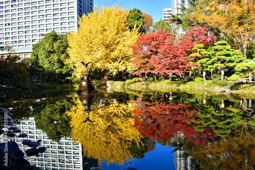 日比谷公園の紅葉と水鏡