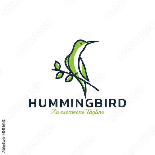 Hummingbird logo design, Bird icon vector illustration