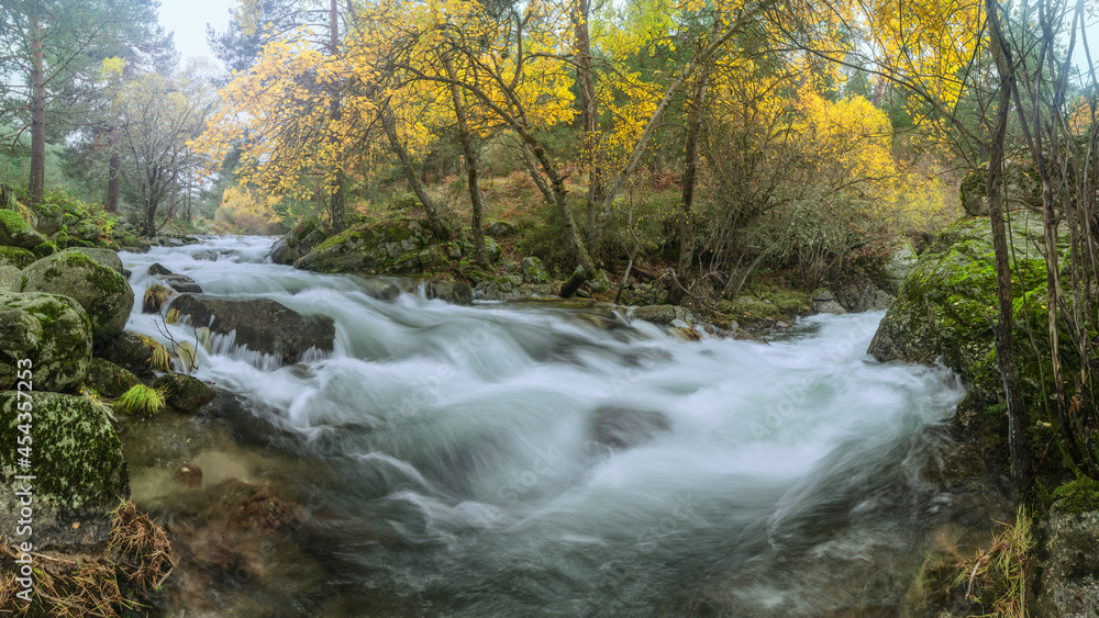 Fast waterfall between boulders and autumn trees Fast waterfall between boulders and autumn trees