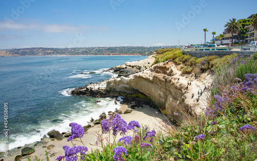 La Jolla . California. USA 