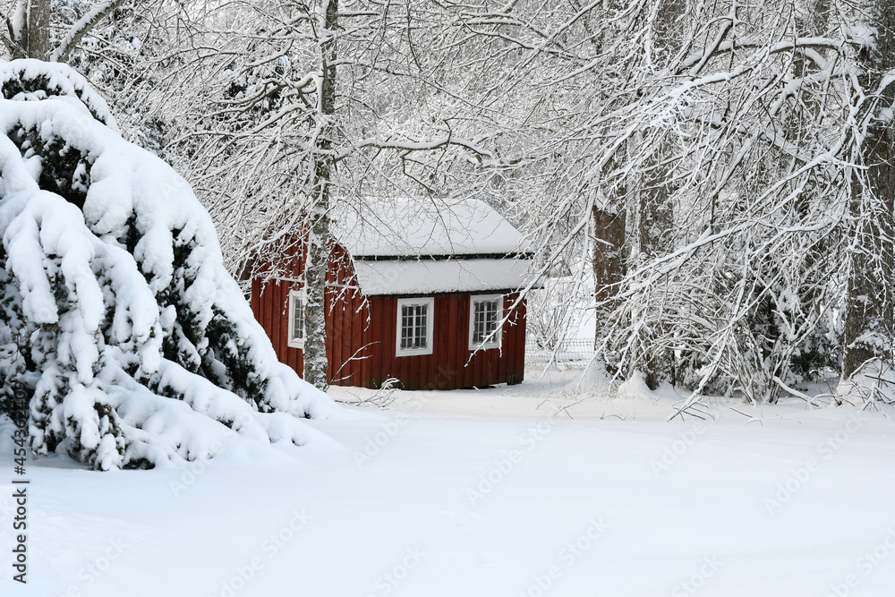 Naklejka premium Playhouse and garden covered with fresh snow