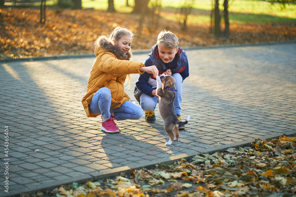 Fototapeta premium Girl and boy playing with puppy on the sidewalk in autumn park. Concept of communication children with pet and nature.