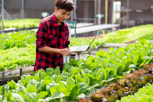 Organic radishes on farms that meet quality standards