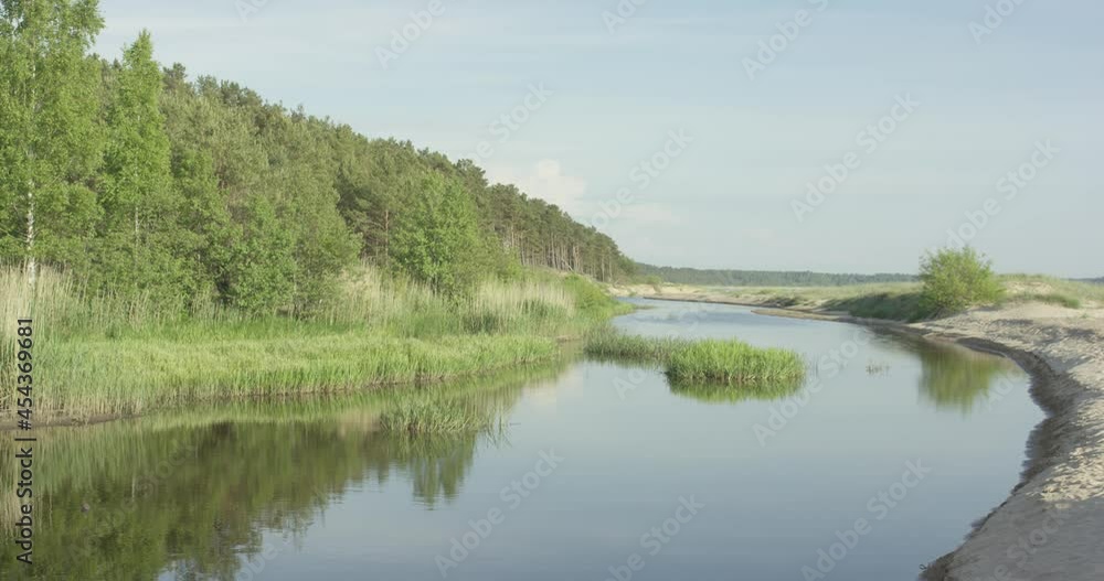 Medium size river flowing between forest and sand dunes into the sea in a sunny summer evening Medium size river flowing between forest and sand dunes into the sea in a sunny summer evening