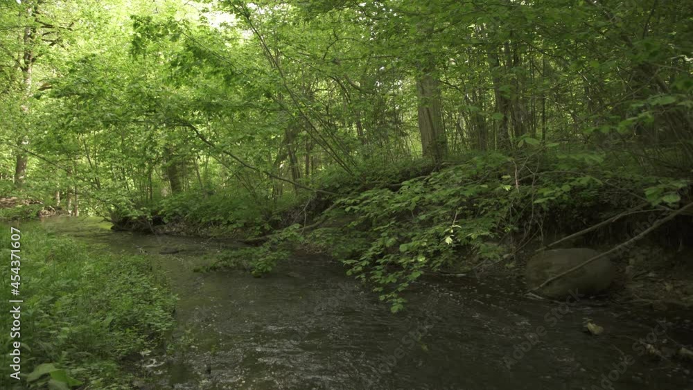 A small forest river flowing through forest in early summer morning A small forest river flowing through forest in early summer morning