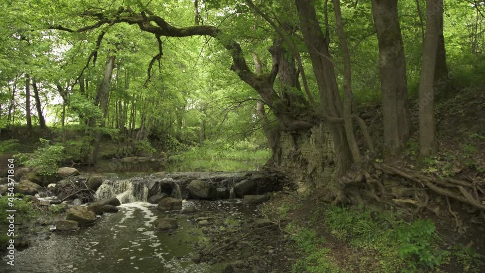 A magical waterfall in a forest with big trees in summer morning A magical waterfall in a forest with big trees in summer morning