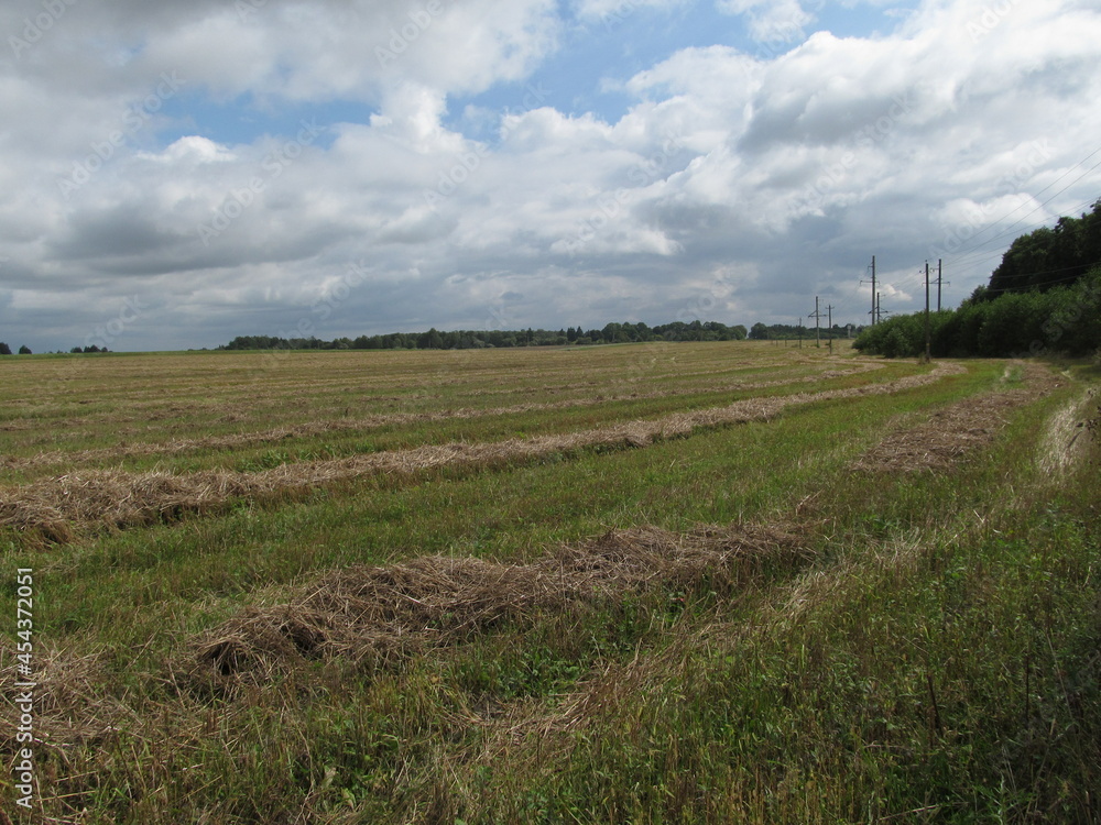 Field with harvested wheat and dry straw.