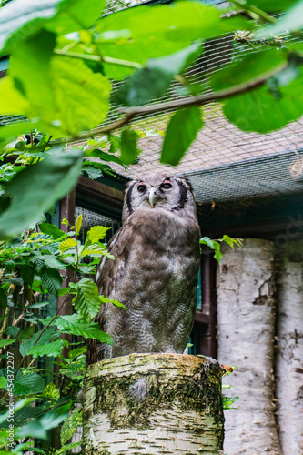 Walsrode Vogelpark