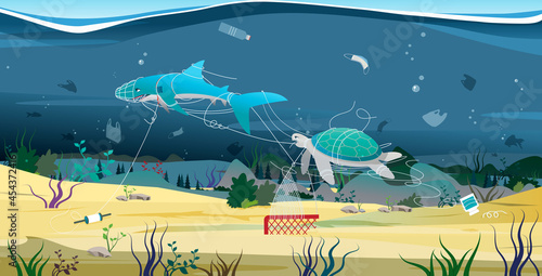 Marine animals are facing danger from rope nets and plastic waste.